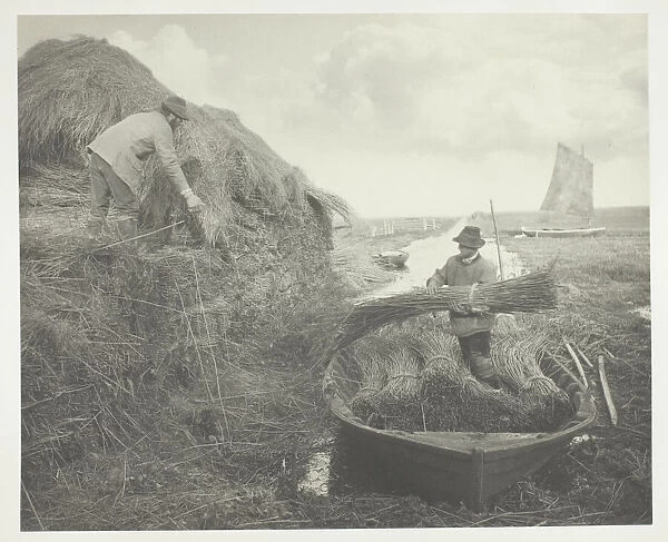 Ricking the Reed, 1886. Creator: Peter Henry Emerson