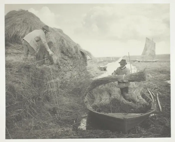 Framed Print : Ricking the Reed, 1886. Creator: Peter Henry Emerson Framed Print : Ricking the Reed, 1886. Creator: Peter Henry Emerson