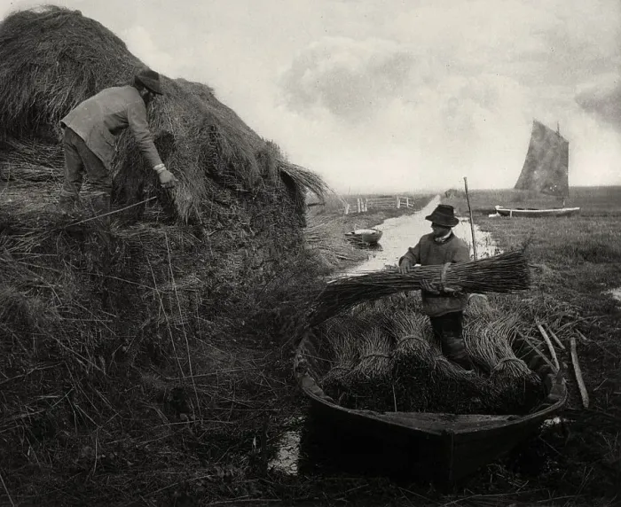 Framed Print : Ricking the Reed, 1886. Creator: Peter Henry Emerson Framed Print : Ricking the Reed, 1886. Creator: Peter Henry Emerson