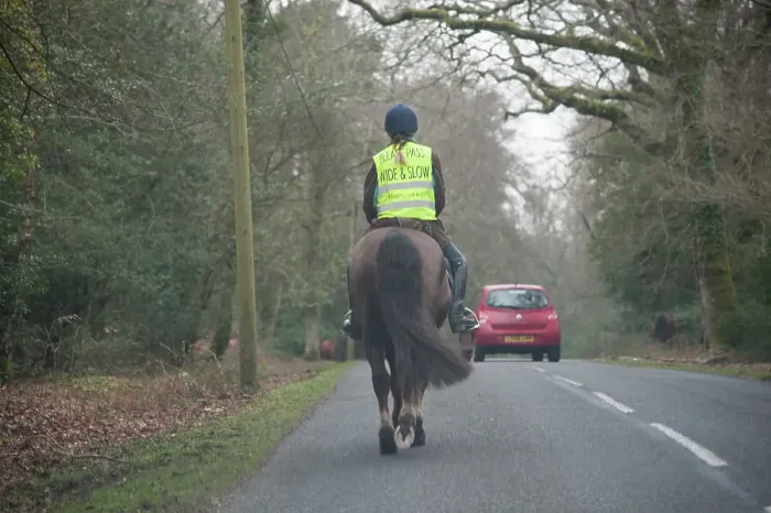 Framed Print : Rider on horseback on country road in New Forest 2014 Framed Print : Rider on horseback on country road in New Forest 2014