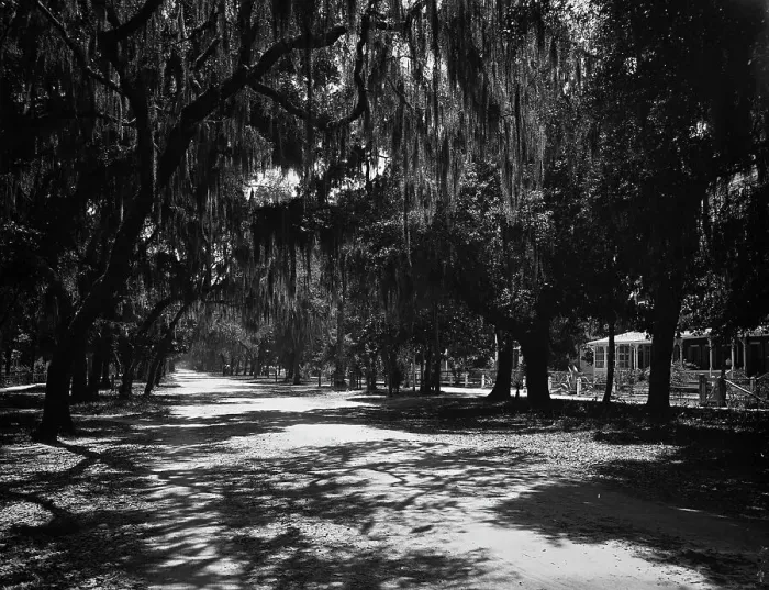 Framed Print : Ridgewood Ave. Daytona, Fla. c1901. Creator: Unknown Framed Print : Ridgewood Ave. Daytona, Fla. c1901. Creator: Unknown