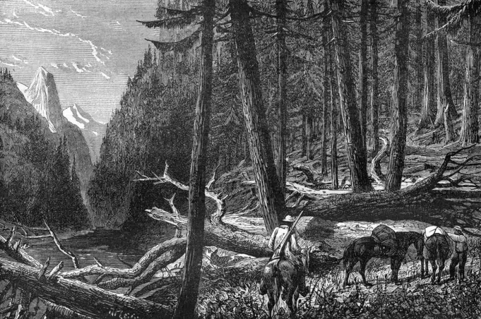 Framed Print : Riding through the forest, British Columbia, Canada, 19th century. Artist: Leitch Framed Print : Riding through the forest, British Columbia, Canada, 19th century. Artist: Leitch