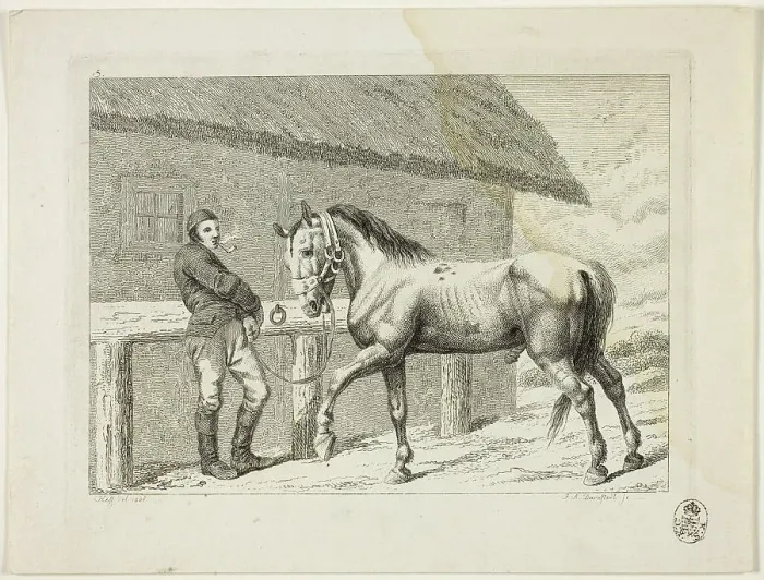 Framed Print : Riding School and Horses, 1806. Creator: Johann Adolph Darnstedt Framed Print : Riding School and Horses, 1806. Creator: Johann Adolph Darnstedt