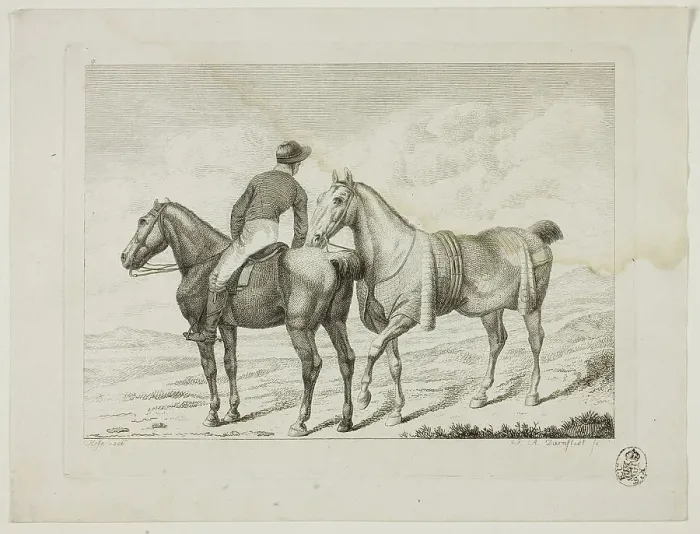 Framed Print : Riding School and Horses, 1806. Creator: Johann Adolph Darnstedt Framed Print : Riding School and Horses, 1806. Creator: Johann Adolph Darnstedt