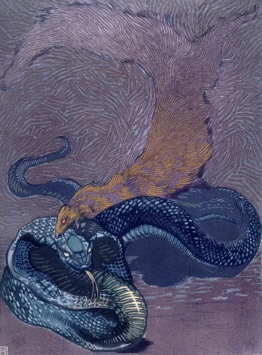 Framed Print : Rikki Tikki Tavi biting a snake; scene from 'The Jungle Book', 1919. Creator: Paul Jouve Framed Print : Rikki Tikki Tavi biting a snake; scene from 'The Jungle Book', 1919. Creator: Paul Jouve