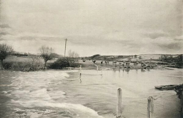The River Avon, c1927, (1927). Artist: Reginald Belfield