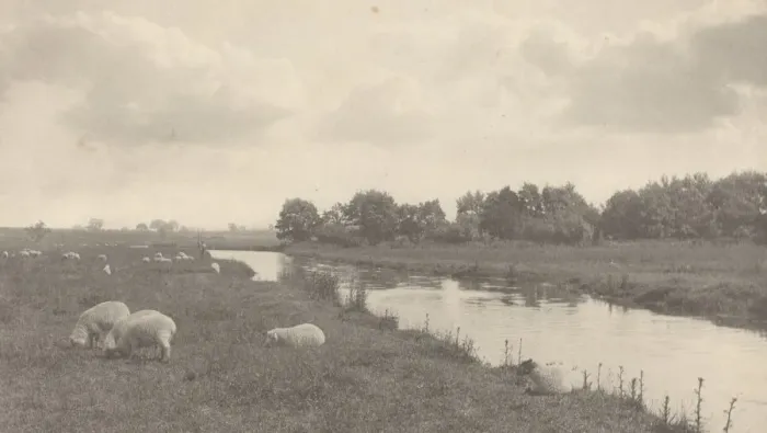Framed Print : On the River Bure, 1886. Creator: Dr Peter Henry Emerson Framed Print : On the River Bure, 1886. Creator: Dr Peter Henry Emerson