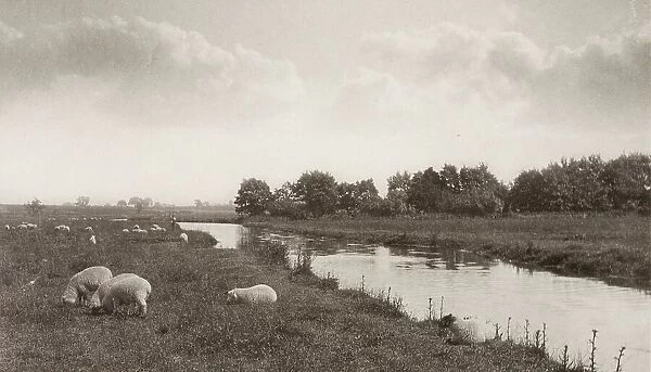 On the River Bure, 1886. Creator: Peter Henry Emerson