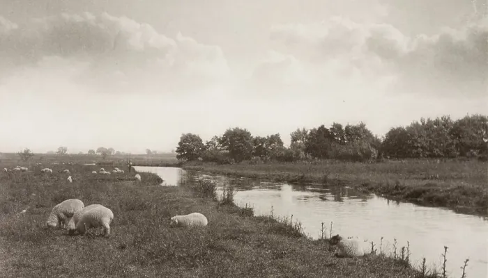Framed Print : On the River Bure, 1886. Creator: Peter Henry Emerson Framed Print : On the River Bure, 1886. Creator: Peter Henry Emerson