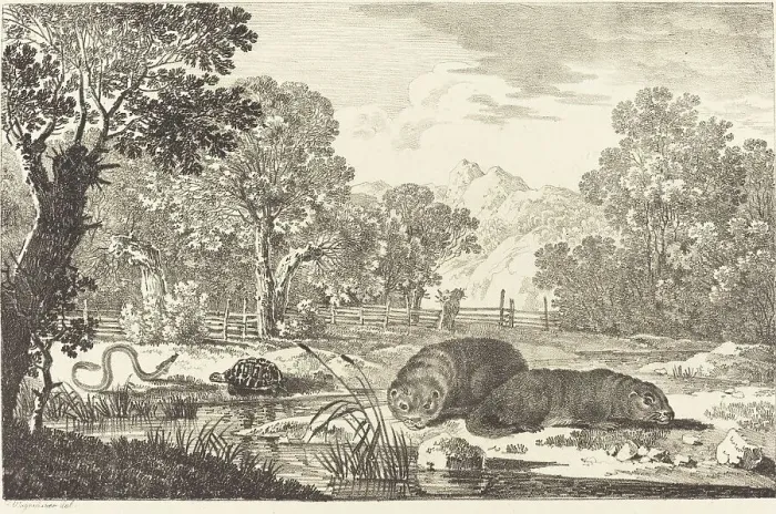 Framed Print : River Landscape with Two Beavers, 1807. Creator: Max Josef Wagenbauer Framed Print : River Landscape with Two Beavers, 1807. Creator: Max Josef Wagenbauer