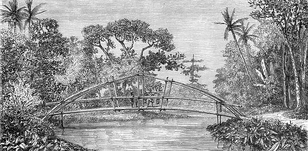 River Scene, Borneo; A Visit to Borneo, 1875. Creator: A. M. Cameron