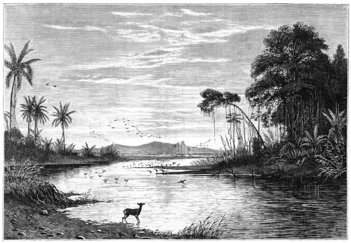 Framed Print : A river scene in Venezuela, 1877 Framed Print : A river scene in Venezuela, 1877