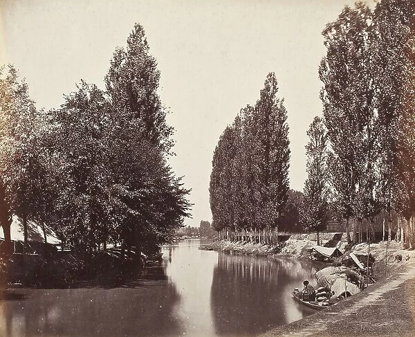 River With Trees (India), Printed 1868 circa. Creator: Samuel Bourne