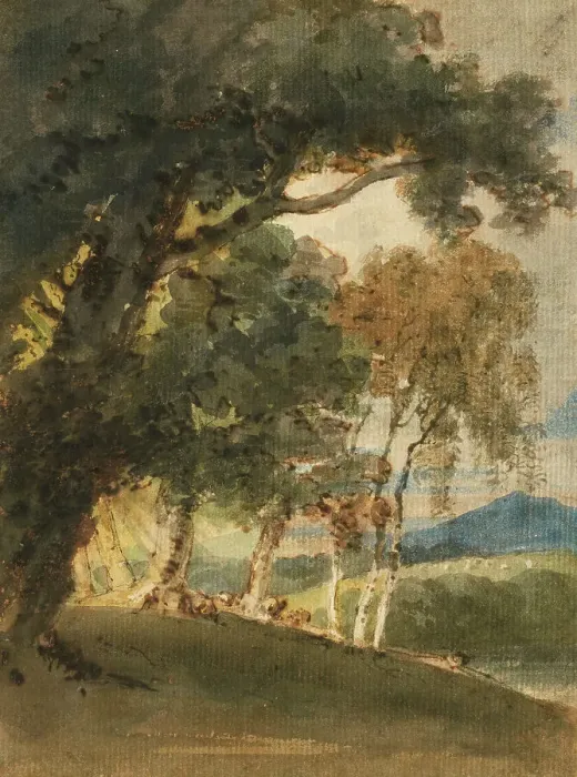 Framed Print : A River Valley And Distant Hill Seen Through Trees, c1800. Creator: Thomas Girtin Framed Print : A River Valley And Distant Hill Seen Through Trees, c1800. Creator: Thomas Girtin