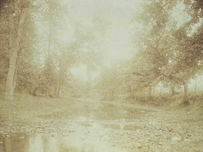 Framed Print : A riverbed in the woods, c1900. Creator: Mary A. Bartlett Framed Print : A riverbed in the woods, c1900. Creator: Mary A. Bartlett