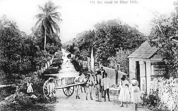 On the road to Blue Hills, Bahamas, c1900s