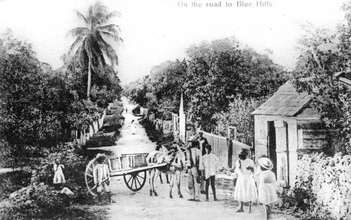 Framed Print : On the road to Blue Hills, Bahamas, c1900s Framed Print : On the road to Blue Hills, Bahamas, c1900s
