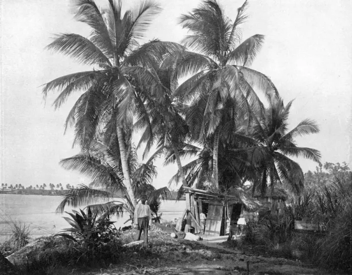 Framed Print : On the road to Blue Hole, Port Antonio, Jamaica, c1905. Artist: Adolphe Duperly & Son Framed Print : On the road to Blue Hole, Port Antonio, Jamaica, c1905. Artist: Adolphe Duperly & Son