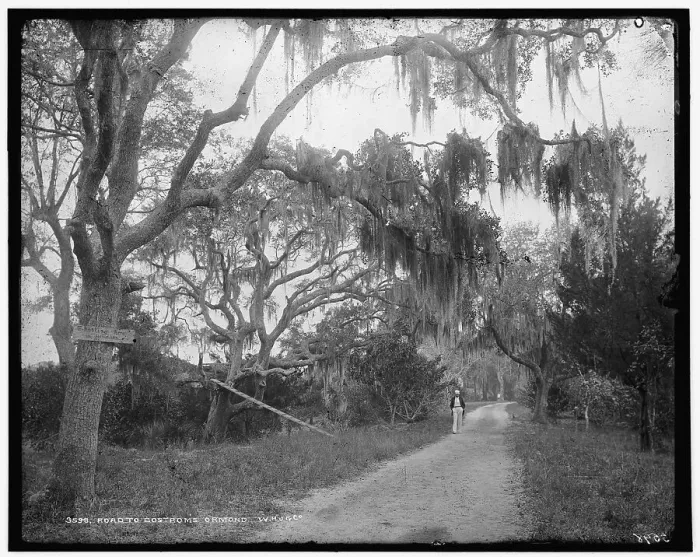 Framed Print : Road to Bostrom's, Ormond, between 1880 and 1897. Creator: William H. Jackson Framed Print : Road to Bostrom's, Ormond, between 1880 and 1897. Creator: William H. Jackson