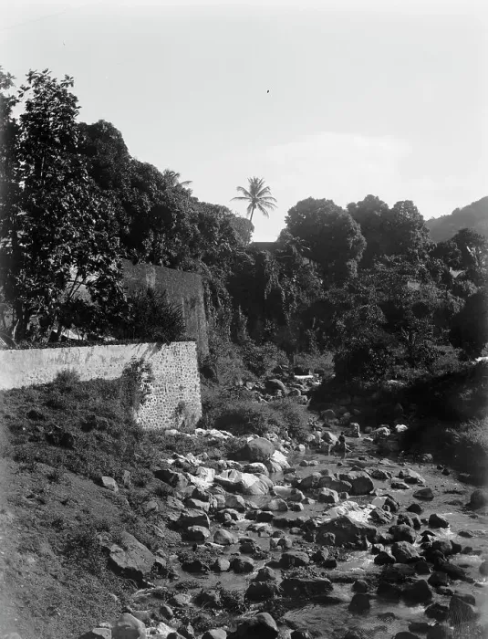 Framed Print : On the road to the Botanical Gardens, Martinique, W.I. between 1880 and 1901. Creator: Unknown Framed Print : On the road to the Botanical Gardens, Martinique, W.I. between 1880 and 1901. Creator: Unknown