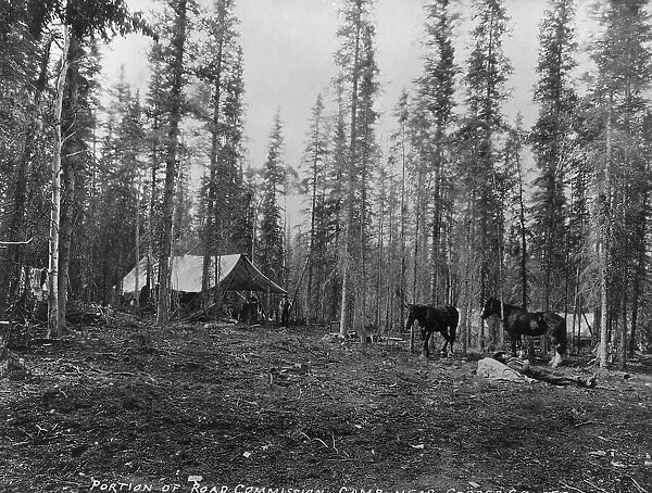 Road Commission camp near Copper Center, between c1900 and 1923. Creator: Unknown
