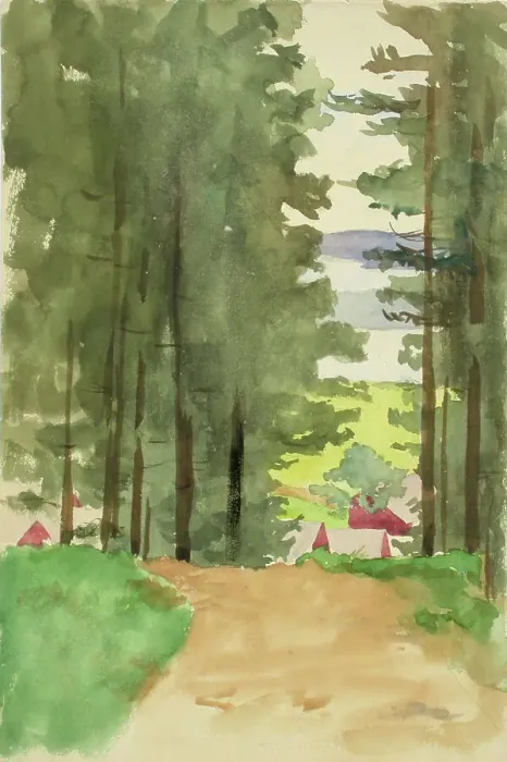 Framed Print : A road between conifers. Creator: Maria Wiik Framed Print : A road between conifers. Creator: Maria Wiik