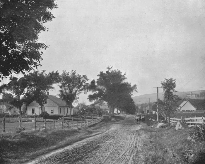 Framed Print : On the road to Echo Lake, White Mountains, New Hampshire, USA, c1900. Creator: Unknown