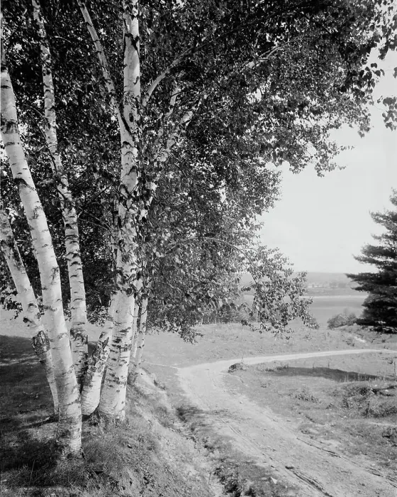 Framed Print : Down the road and far away, c.between 1910 and 1920. Creator: Unknown Framed Print : Down the road and far away, c.between 1910 and 1920. Creator: Unknown
