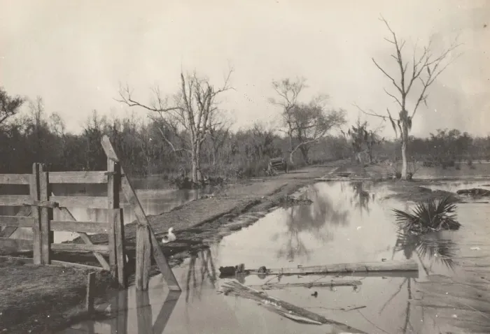 Framed Print : Road Through Flooded Land, 1890s-1900s. Creator: Morgan Whitney Framed Print : Road Through Flooded Land, 1890s-1900s. Creator: Morgan Whitney