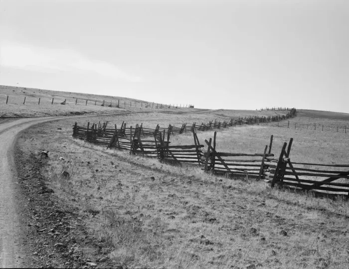 Framed Print : Road going up Squaw Creek Valley, leaving Ola, Ola self-help sawmill co-op, Gem County, Idaho, 1939. Creator: Dorothea Lange Framed Print : Road going up Squaw Creek Valley, leaving Ola, Ola self-help sawmill co-op, Gem County, Idaho, 1939. Creator: Dorothea Lange