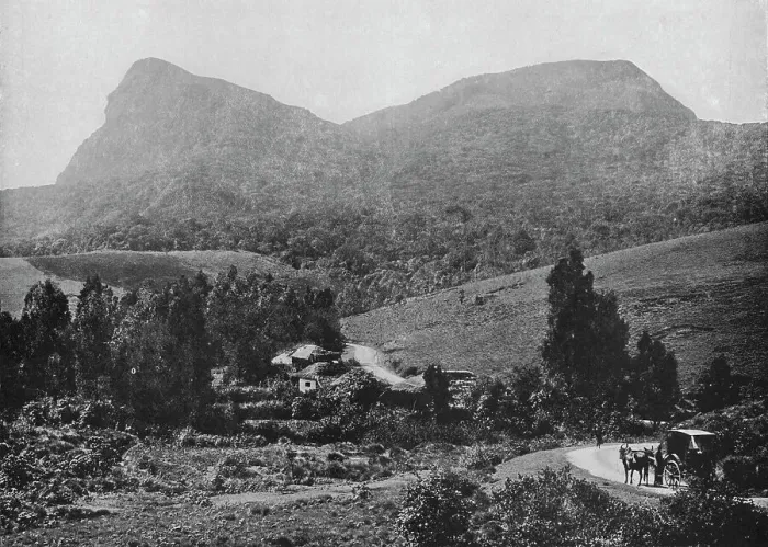 Framed Print : On the Road to Hakgalla. Hakgalla Rock in the Distance, c1890, (1910). Artist: Alfred William Amandus Plate Framed Print : On the Road to Hakgalla. Hakgalla Rock in the Distance, c1890, (1910). Artist: Alfred William Amandus Plate