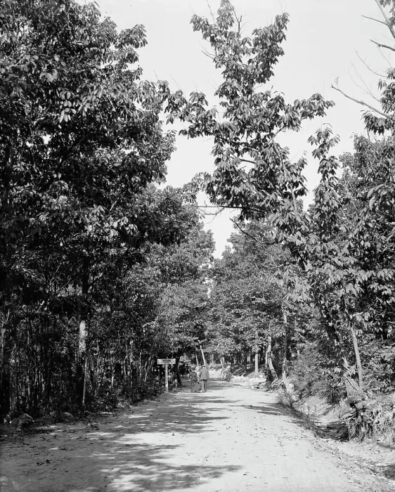 Framed Print : Road to High Rock, Pen Mar Park, Md. between 1900 and 1906. Creator: Unknown Framed Print : Road to High Rock, Pen Mar Park, Md. between 1900 and 1906. Creator: Unknown