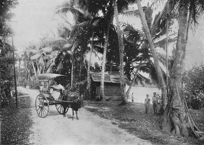 Framed Print : Road Beside the Kelaniya River, c1890, (1910). Artist: Alfred William Amandus Plate Framed Print : Road Beside the Kelaniya River, c1890, (1910). Artist: Alfred William Amandus Plate