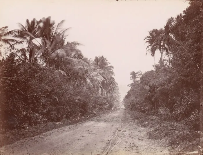Framed Print : Road Near Singapore, 1860s-70s. Creator: Unknown Framed Print : Road Near Singapore, 1860s-70s. Creator: Unknown