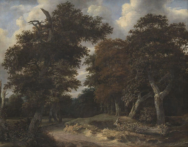 Road through an Oak Forest, 1646-1647. Artist: Ruisdael, Jacob Isaacksz, van (1628  /  29-1682)