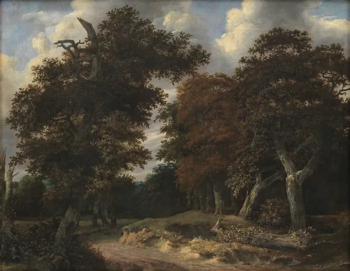 Framed Print : Road through an Oak Forest, 1646-1647. Creator: Jacob van Ruisdael Framed Print : Road through an Oak Forest, 1646-1647. Creator: Jacob van Ruisdael