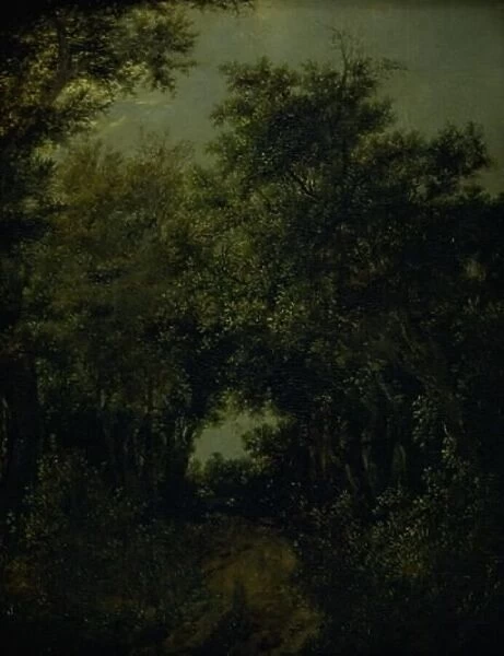 Road in an Oak Forrest, 1646. Creator: Jacob van Ruisdael