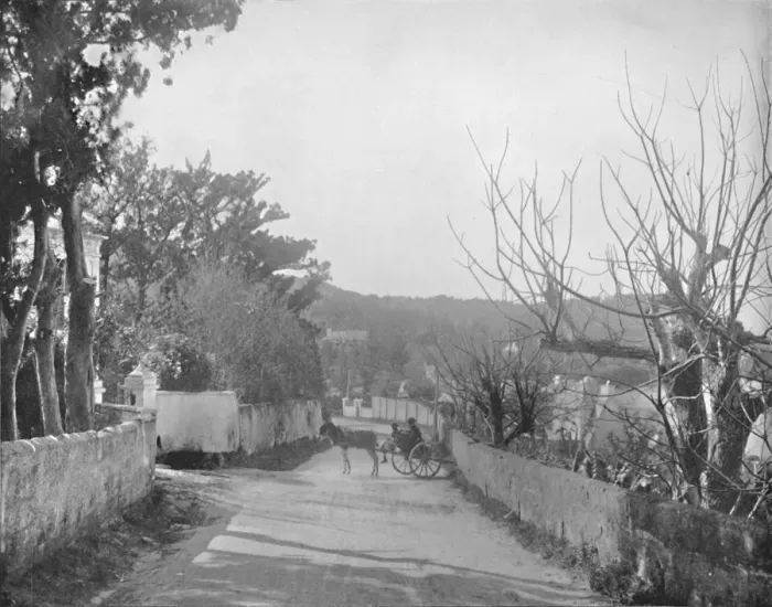 Framed Print : A Road in Port Royal, Bermuda, 19th century Framed Print : A Road in Port Royal, Bermuda, 19th century