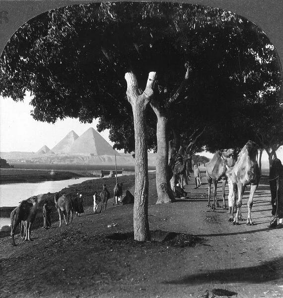 The road to the pyramids, Giza, Egypt, 1905. Artist: Underwood & Underwood