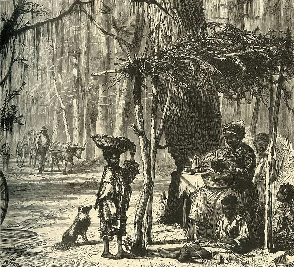 A Road-side Scene near Charleston, 1872. Creator: Albert Bobbett