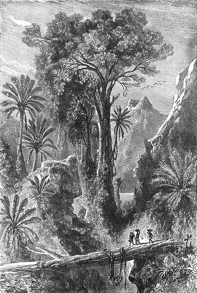 On the Road to Tananarivo; Recent Explorations in Madagascar, 1875. Creator: Alfred Grandidier