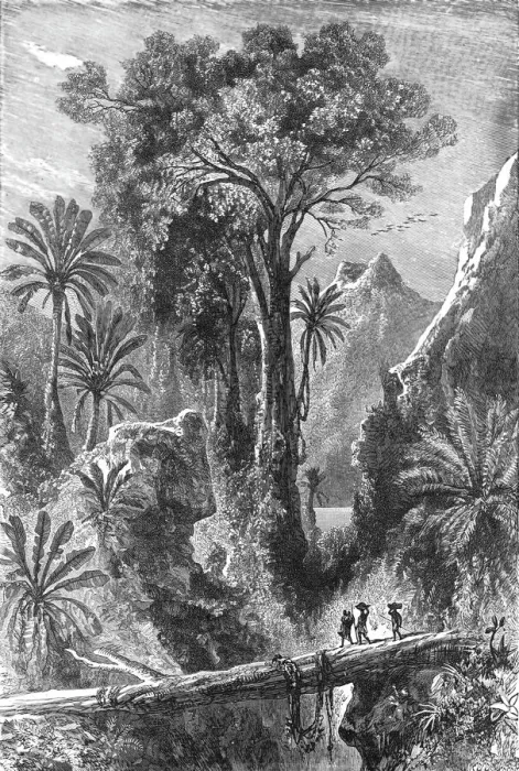 Framed Print : On the Road to Tananarivo; Recent Explorations in Madagascar, 1875. Creator: Alfred Grandidier Framed Print : On the Road to Tananarivo; Recent Explorations in Madagascar, 1875. Creator: Alfred Grandidier