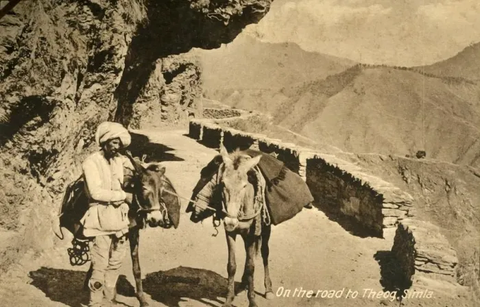 Framed Print : On the road to Theog, Simla, c1918-c1939. Creator: Unknown Framed Print : On the road to Theog, Simla, c1918-c1939. Creator: Unknown