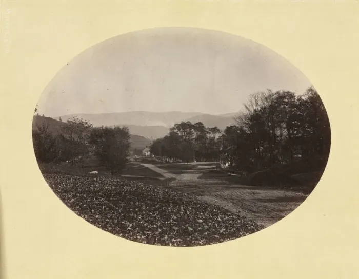 Framed Print : A Road in Williamstown, c. 1870. Creator: George K. Warren (American, 1834-1884) Framed Print : A Road in Williamstown, c. 1870. Creator: George K. Warren (American, 1834-1884)