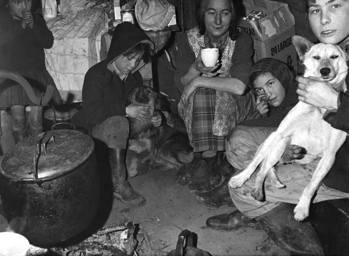 Framed Print : Roadside gipsy family inside a bender (wigwam construction), Newdigate, Surrey, 1960s(?) Framed Print : Roadside gipsy family inside a bender (wigwam construction), Newdigate, Surrey, 1960s(?)