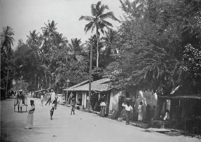 Framed Print : Roadside Scene on the Way to Mt. Lavinia, c1890, (1910). Artist: Alfred William Amandus Plate Framed Print : Roadside Scene on the Way to Mt. Lavinia, c1890, (1910). Artist: Alfred William Amandus Plate
