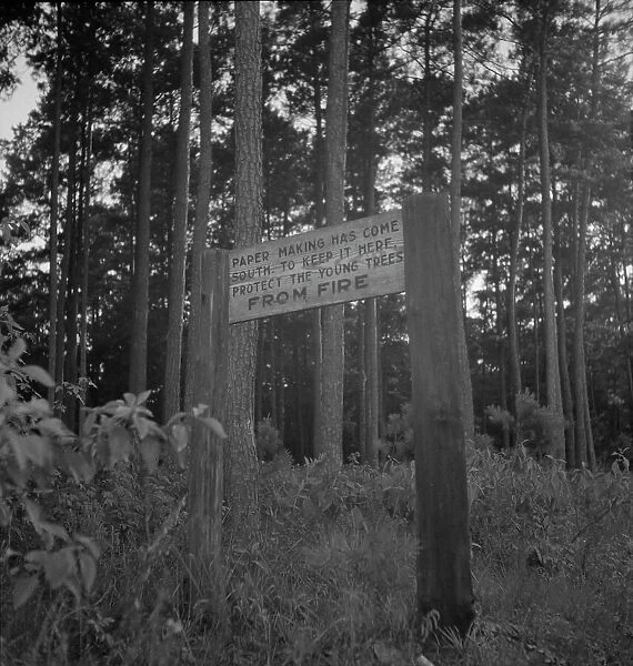 Roadsign, Fullerton, Louisiana, 1937. Creator: Dorothea Lange