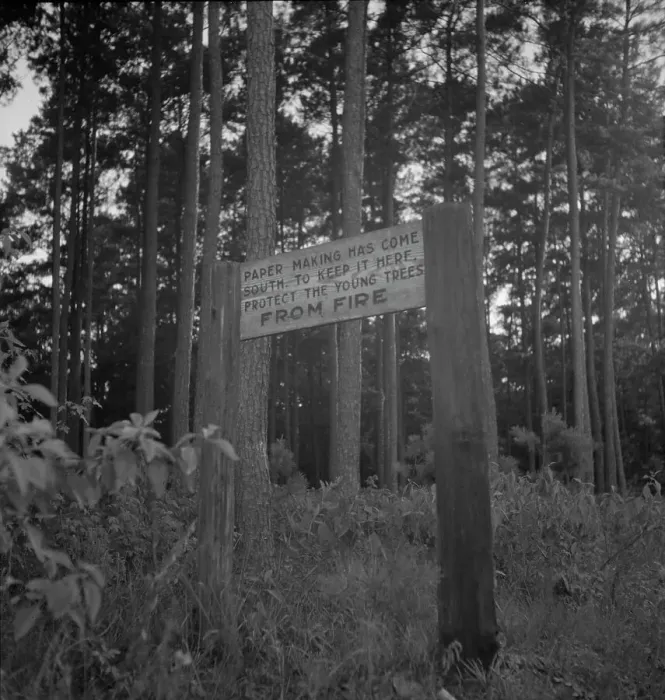 Framed Print : Roadsign, Fullerton, Louisiana, 1937. Creator: Dorothea Lange Framed Print : Roadsign, Fullerton, Louisiana, 1937. Creator: Dorothea Lange