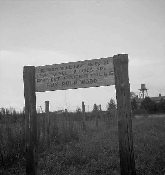 Roadsign near Fullerton, Louisiana, 1937. Creator: Dorothea Lange