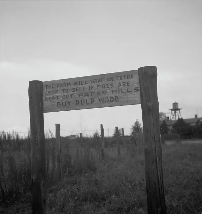 Framed Print : Roadsign near Fullerton, Louisiana, 1937. Creator: Dorothea Lange Framed Print : Roadsign near Fullerton, Louisiana, 1937. Creator: Dorothea Lange